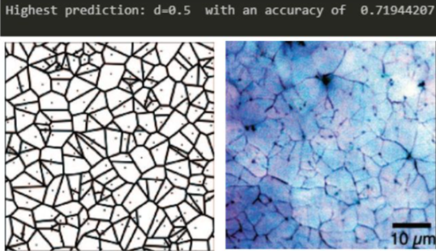 CNN classification output on nacre microstructure
